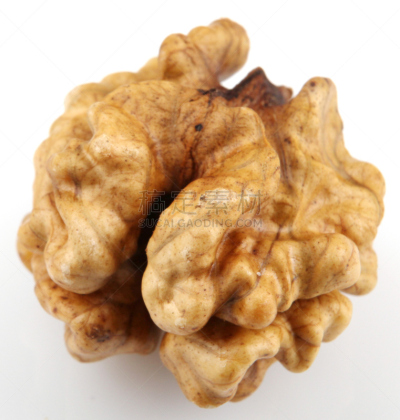 胡桃,分离着色,垂直画幅,脑部,褐色,特写,开着的,白色,豆荚,瘦身