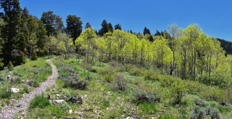 犹他,风景,美国,山谷,盐湖,洛矶山脉,奥克尔山,图埃勒,外立面,铜矿