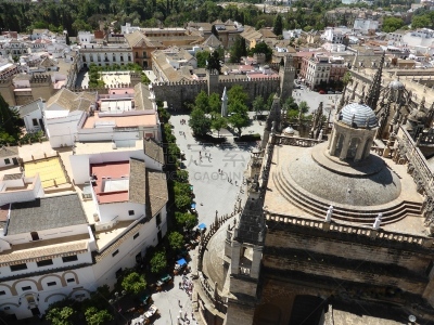 塞维尔,在上面,西班牙,留白,高视角,旅行者,桔树,都市风景,高处