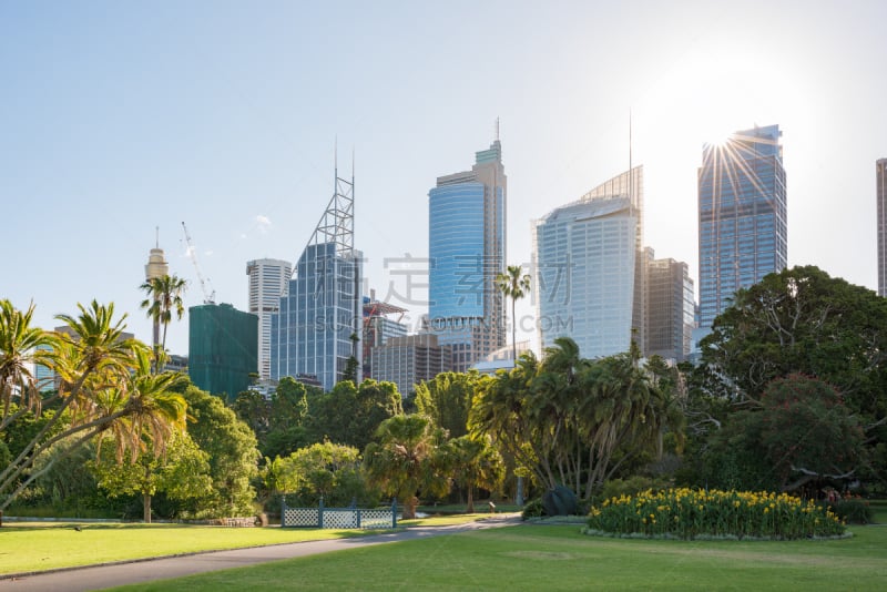 公园,都市风景,太阳,摩天大楼,在上面,鸡尾酒,新南威尔士,休闲活动,水平画幅,无人