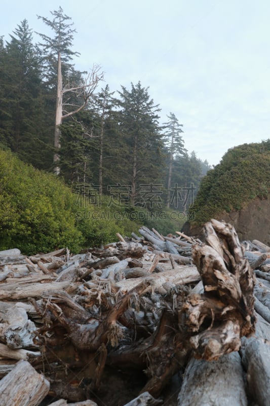 美国西北太平洋地区,海岸线,岩石,夏天,户外,天空,奥林匹克国家公园,沙子,自然地理,拉普士比奇