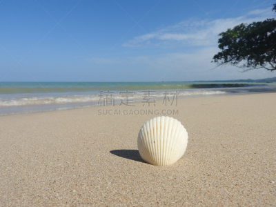 斯特兰德,自然,水,水平画幅,沙子,套色版,夏天,海岸地形,异国情调,户外