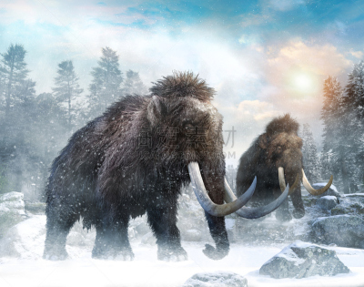绘画插图,三维图形,猛犸,寒冷,毛皮,水平画幅,雪,巨大的,上新世,已灭绝生物