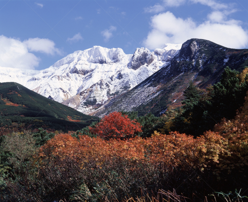 思诺山,自然,天空,水平画幅,地形,秋天,无人,蓝色,富良野,日本