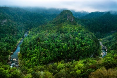 塔,自然,州立公园,公园,美国,水平画幅,绿色,地形,景观设计,维吉尼亚