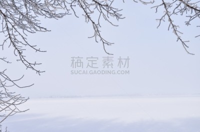 霜,湖,冻结的,枝,边框,风景,自然,俄勒冈州,俄勒冈郡,寒冷