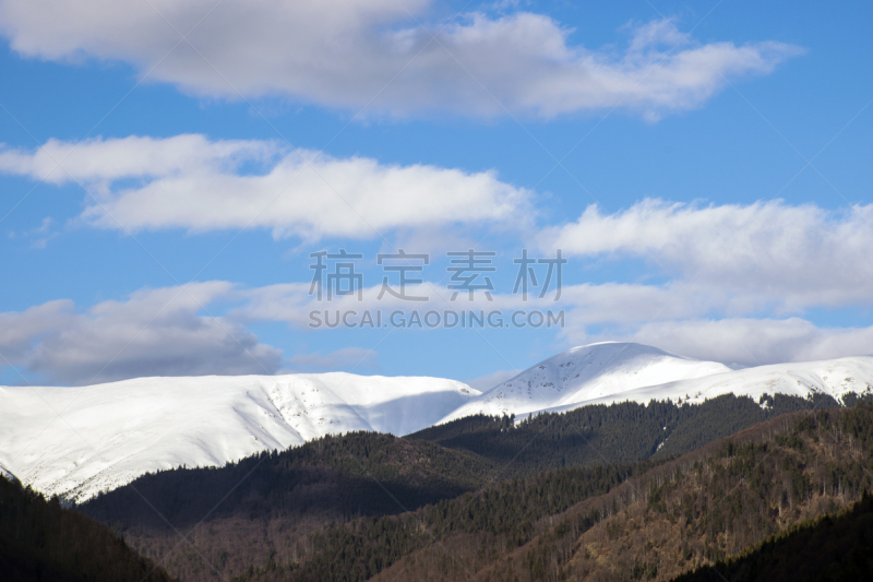 山,地形,冬天,落叶松,树梢,阿尔卑斯山脉,景观设计,天空,水平画幅,无人