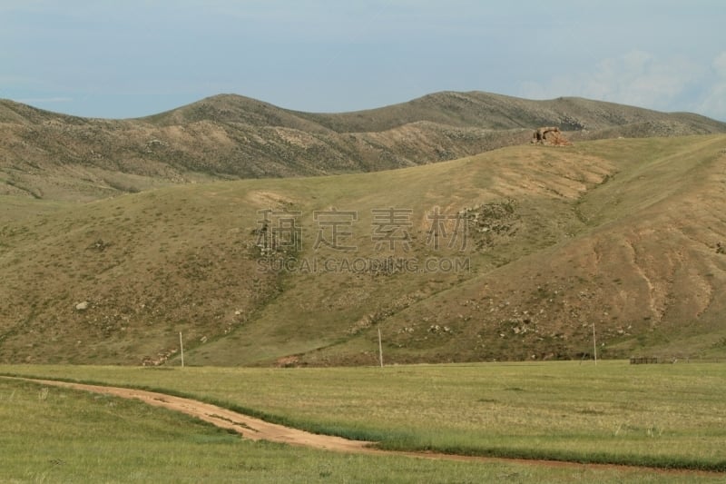 自然,草地,柳树,水平画幅,野地,地形,山,无人,veldt,丘陵起伏地形