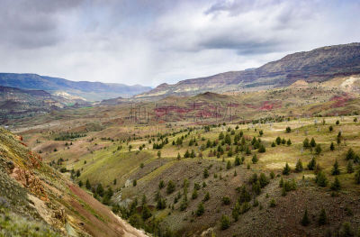 山谷市,白昼,暴风雨,约翰时代河,多彩沙漠,画山,化石遗址,河岸区,河漫滩,半干旱