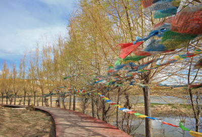 修道院,松赞林寺,布达拉宫,犹太教会堂,香格里拉县,藏族,神父,路易斯安那州,美洲驼羊,洛杉矶县