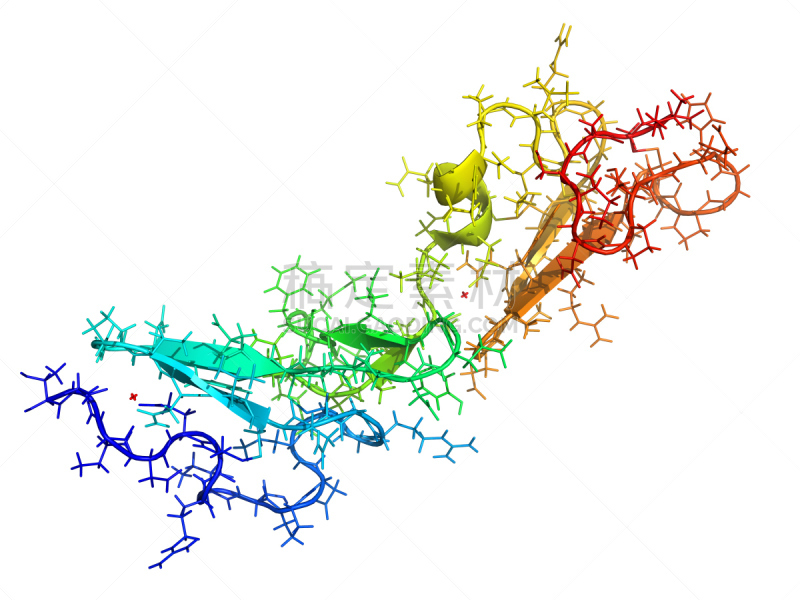 糖蛋白,分子,生物科技,酸,水平画幅,形状,人类肌肉,生物化学,弹性,运输