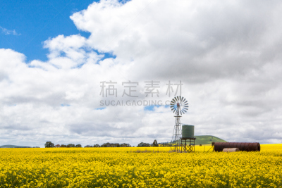 芸苔,田地,巴勒拉特,斯密顿灯塔,金矿区,水塔,筒仓,农业,云景,环境保护