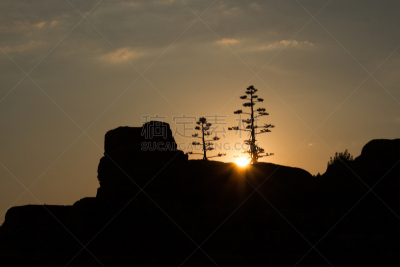 瓦莱,纪念碑,天空,夏天,石材,石头,大特写,旅游目的地,树