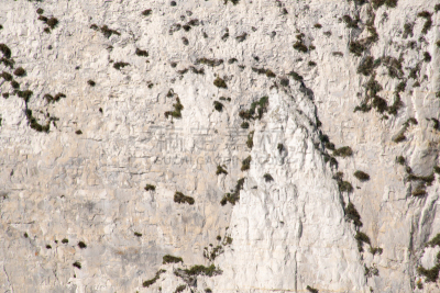 白垩,岩面,大特写,白色,white cliffs,多层效果,地质学,图像,海洋,英国