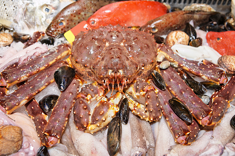 澳大利亚巨蟹,鱼市,动物嘴,芳香的,水平画幅,无人,巨大的,超级市场,生食,捕捞鱼