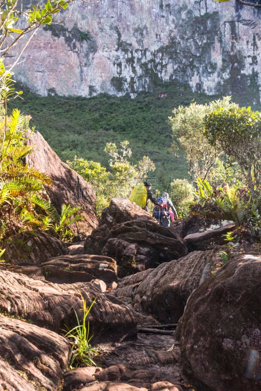 罗赖马山,平顶山,canaima,罗赖马州,平顶山区,委内瑞拉,垂直画幅,南美,无人,户外