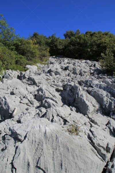 十字形,街道,马赛圣母院,悲哀之路,耶稣受难像,塞文山区,埃罗,受难记,松树,夏天