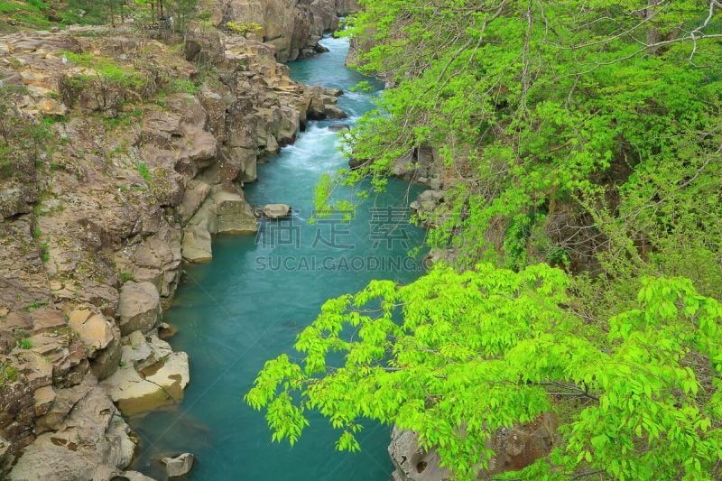 夏天,岩手县,山,小溪,旅途,著名自然景观,自然美,植物,河流,瀑布