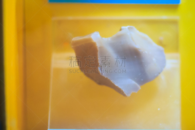 蛋白石,硅石,采矿业,鹭管鱼,抽象,工业,岩石,标本架,自然,矿物质
