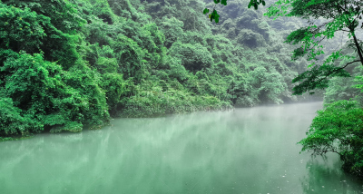 小路,桥,徒步旅行,中国,张家界,武陵源,玻璃,大峡谷,水平画幅,户外