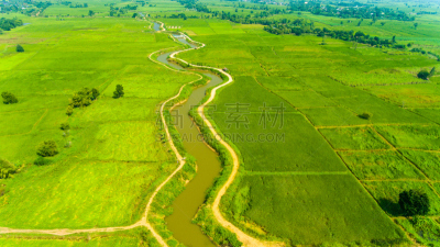 Aerial view of a rice fields in Thailand.