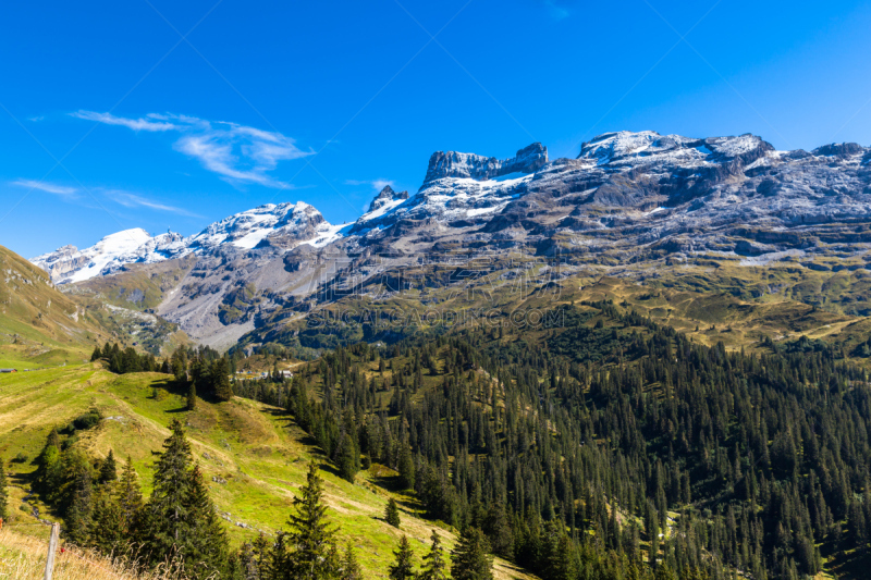 乡村,看风景,阿尔卑斯山脉,非凡的,铁力士山,雪,旅行者,夏天,石材,草