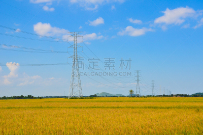 田地,稻,湄公河三角洲,天空,风,缅甸,风力,能源,涡轮,夏天