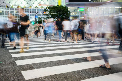 街道,斑马线,忙碌,旅行者,现代,雨,城镇,东京,运球驱动,商务