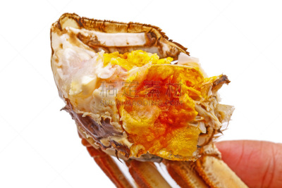肉,螃蟹,卵,多毛的,白色,分离着色,蒸锅,水平画幅,海产,烹调