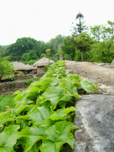 房屋,传统,簇叶从生的,垂直画幅,天空,无人,夏天,石材,草,云景