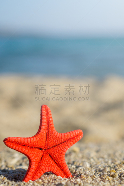 沙子,海洋,红海星,蓝色,海滩,背景,钉住,热带气候,海星,贝壳