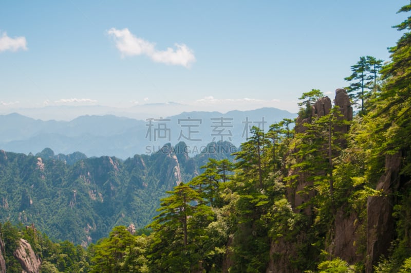 黄山山脉,中国,自然,松树,水平画幅,山,无人,户外,中长距离,松科