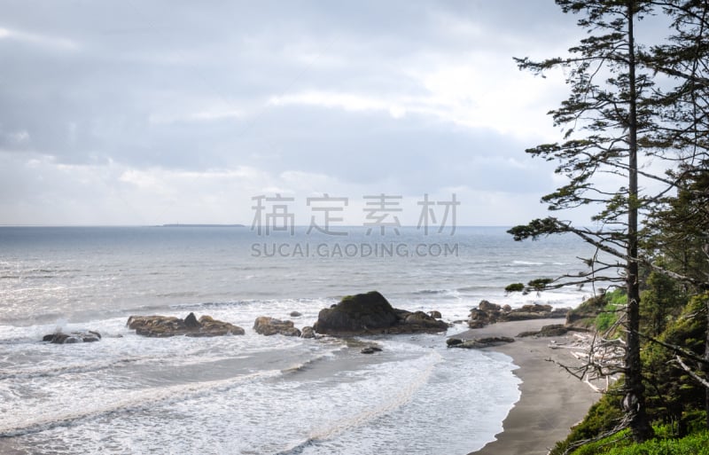 太平洋海岸,鲁比海滩,国际生物圈保护区,奥林匹克山脉,奥林匹克山,水平画幅,沙子,无人,户外,世界遗产