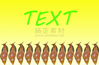 微距,蜗牛,拉维纪草植物,欧洲蕨,动物腿骨,水平画幅,枝繁叶茂,攀缘植物,软体动物,草