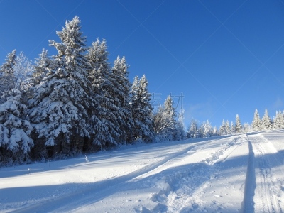 季节,痕迹,极限运动,冬天,图像,雪,加拿大,魁北克,雪上汽车运动,无人