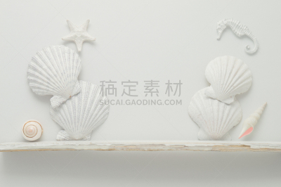 架子,组物体,海洋,美,艺术,水平画幅,贝壳,海马,海扇壳,干净