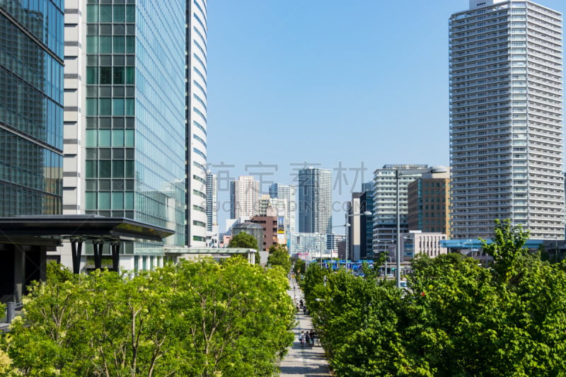 Toyosu buildings and tree-lined street１０