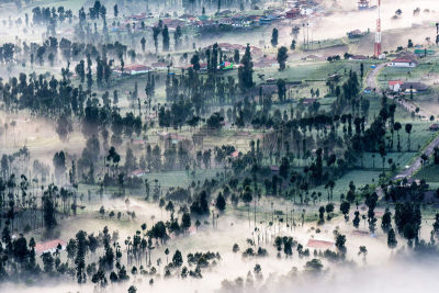 早晨,山,雾,乡村,森林,婆罗摩火山,塞梅鲁火山,滕格尔火山,bromo-tengger-semeru national park,东爪哇
