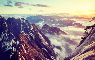 山