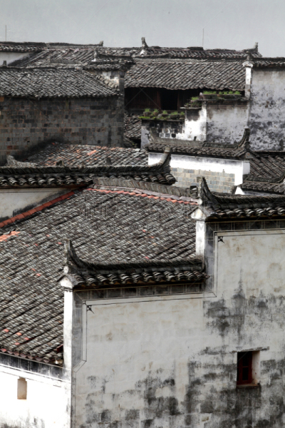婺源,建筑业,中国,传统,乡村,建筑檐口,拱门,砖墙,自然美,砖