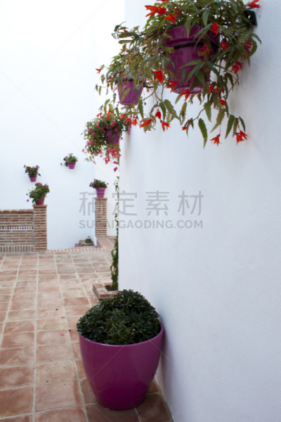 乡村,安达卢西亚,方形画幅,白色,埃斯特波纳,垂直画幅,建筑,无人,植物,陶瓷工艺品