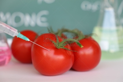 转基因,西红柿,注射器,蔬菜,横截面,健康保健,清新,一个物体,生物科技,科学实验