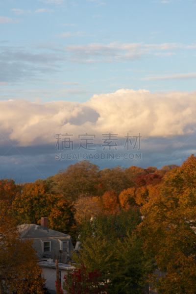 新英格兰,秋天,哈佛大学,剑桥,常春藤盟校,树冠,马萨诸塞,云景,云,枝繁叶茂
