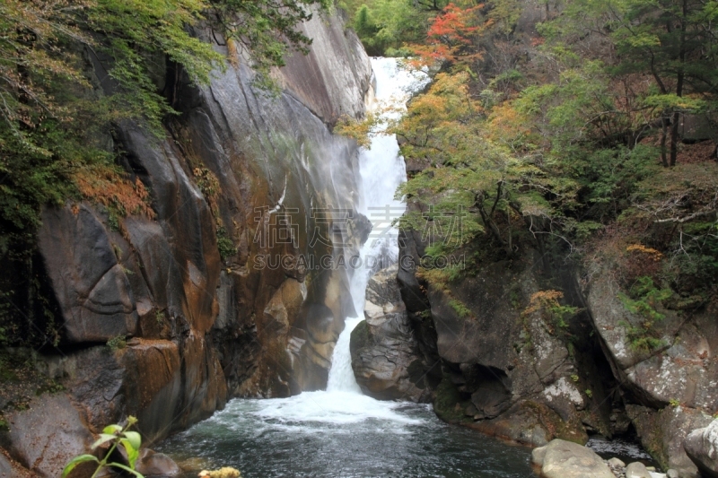 沟壑,叶子,秋天,红色,水,里山,水平画幅,无人,户外,甲府市