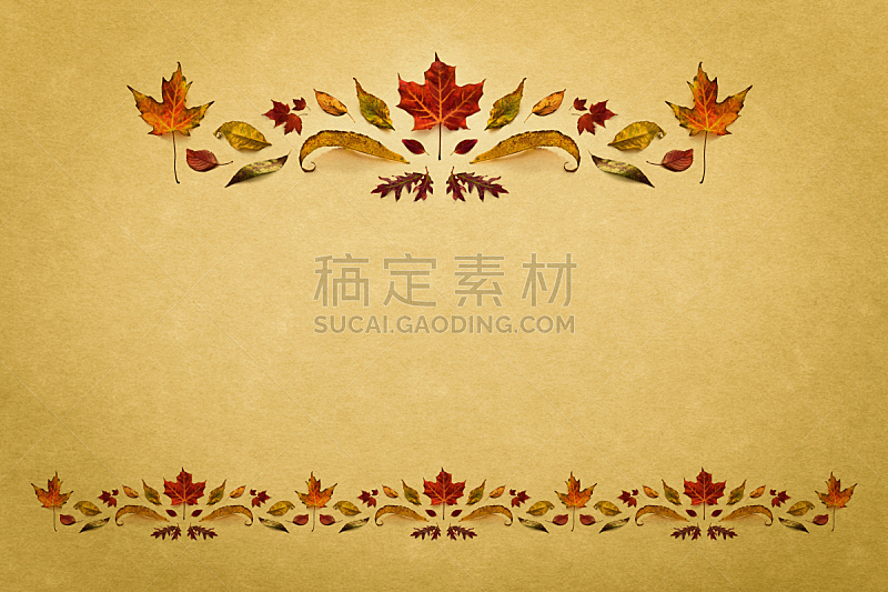 秋天,叶子,国境线,自然,留白,式样,古董,边框,水平画幅,枫叶