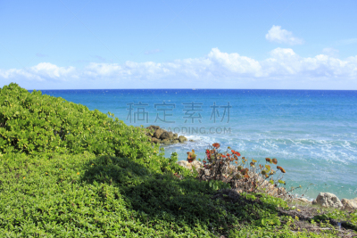 迪尔菲尔德海滩,自然美,海岸线,屏幕保护,水,天空,褐色,水平画幅,枝繁叶茂,无人
