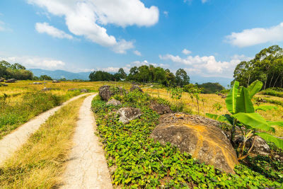 乡村路,稻田,稻,横越,塔纳托拉雅,南苏拉威西省,特拉加,水稻梯田,天空,蜿蜒