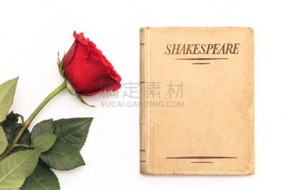 旧约书,玫瑰,威廉莎士比亚,红色,白色背景,古董,水平画幅,文学,古代,无人