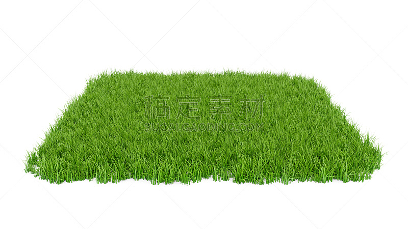 草 田地 三维图形 绿色 白色背景 分离着色 草皮 地面 草坪 菜园图片素材下载 稿定素材