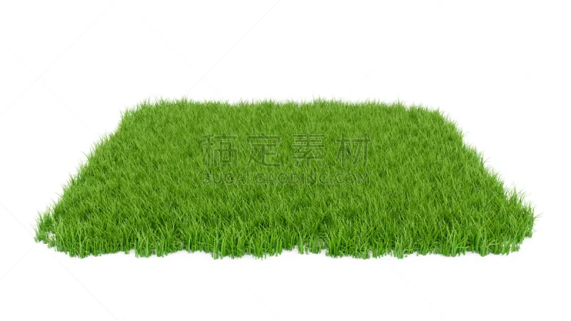 草 田地 三维图形 绿色 白色背景 分离着色 草皮 地面 草坪 菜园图片素材下载 稿定素材 草 田地 三维图形 绿色 白色背景 分离着色 草皮 地面 草坪 菜园图片素材下载 稿定素材